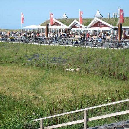 Appartement Deichgans - Haus Loreley Sankt Peter-Ording Zewnętrze zdjęcie